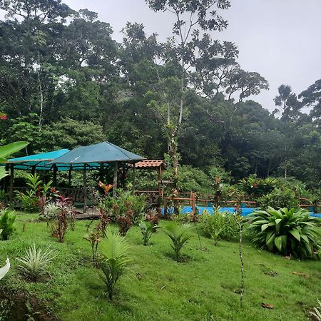 Oski Lodge, Rain Forest Rincon De La Vieja Upala Exterior photo