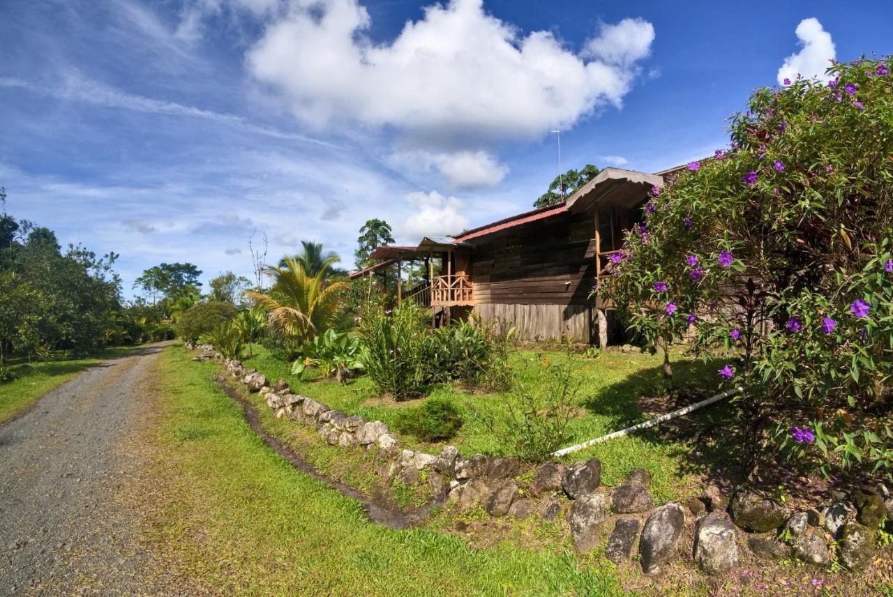 Oski Lodge, Rain Forest Rincon De La Vieja Upala Exterior photo