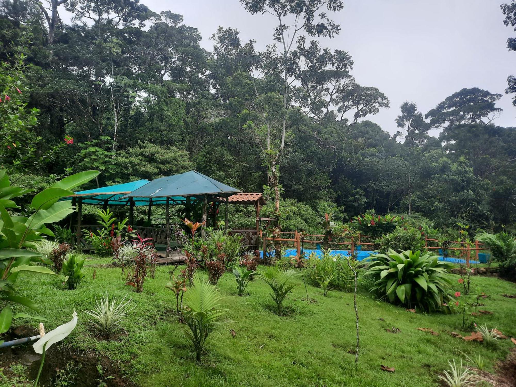 Oski Lodge, Rain Forest Rincon De La Vieja Upala Exterior photo