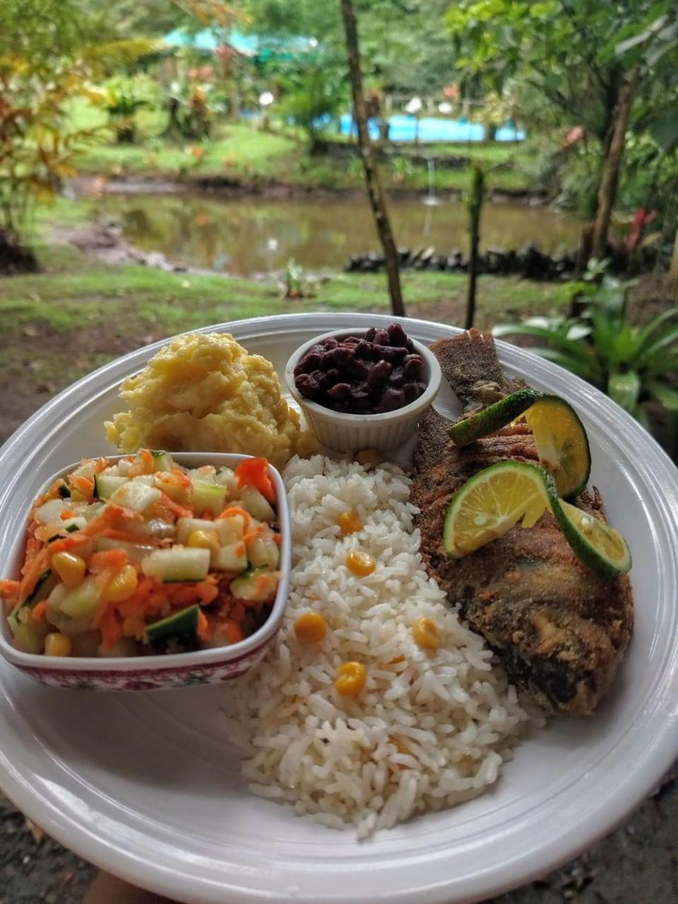 Oski Lodge, Rain Forest Rincon De La Vieja Upala Exterior photo