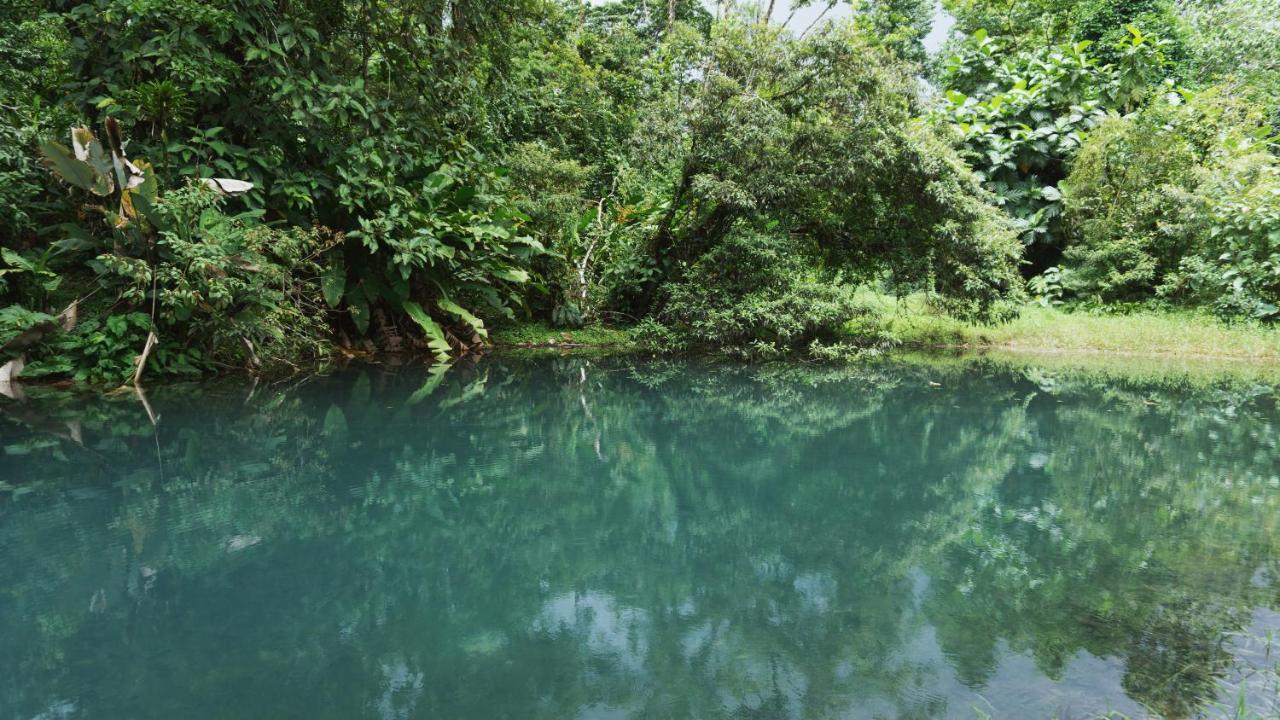 Oski Lodge, Rain Forest Rincon De La Vieja Upala Exterior photo